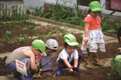 Phương pháp giáo dục trẻ 3 tuổi phát triển toàn diện