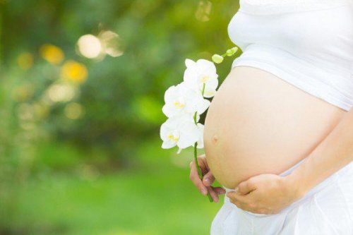 Ngay từ những tháng thai kỳ đầu tiên cha mẹ nên tạo cho mình lối sống lành mạnh
