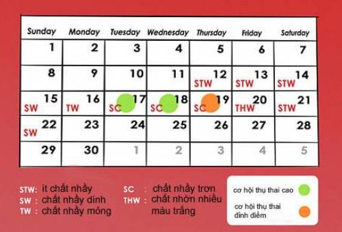 Biết cách tính ngày rụng trứng sẽ tăng khả năng sinh con trai
