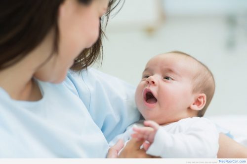 Việc giáo dục con ngay từ khi còn nhỏ là điều rất cần thiết