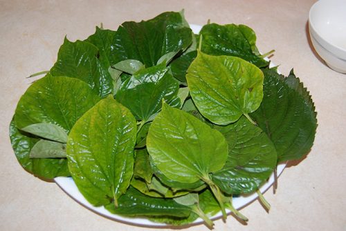 Lá lốt thì thực phẩm mất sữa mẹ cần tránh