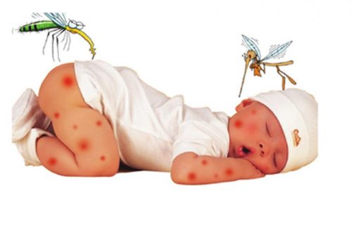 Tìm hiểu nguyên nhân gây nên bệnh sốt xuất huyết ở trẻ