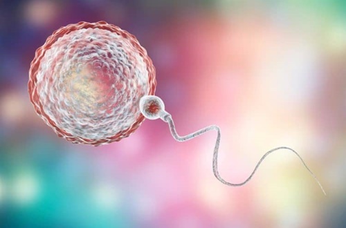 Làm  IUI người phụ nữ có cảm giác thế nào?