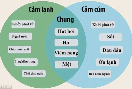 Vậy cảm cúm là gì và làm thế nào để phân biệt cảm lạnh với cảm cúm?