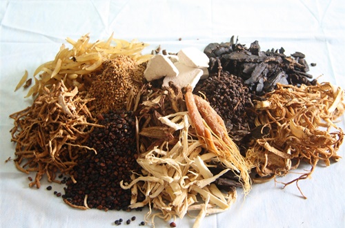 Bài thuốc chữa huyết áp cao bằng y học cổ truyền