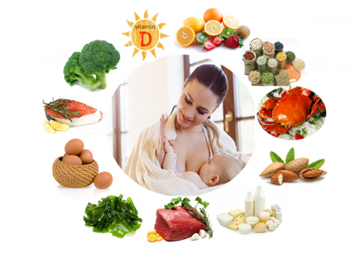 Những tiêu chí chọn sản phẩm lợi sữa cho mẹ sau khi sinh