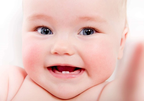 Làm quen với các bé răng