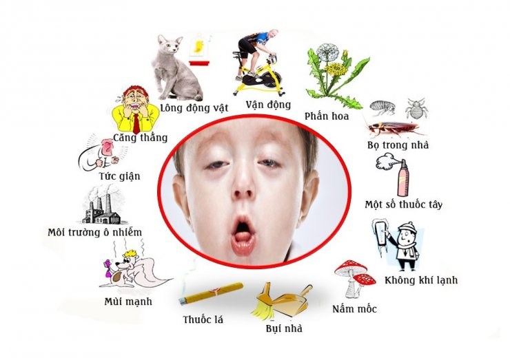 Tránh các tác nhân gây hen suyễn Tránh các tác nhân gây hen suyễn