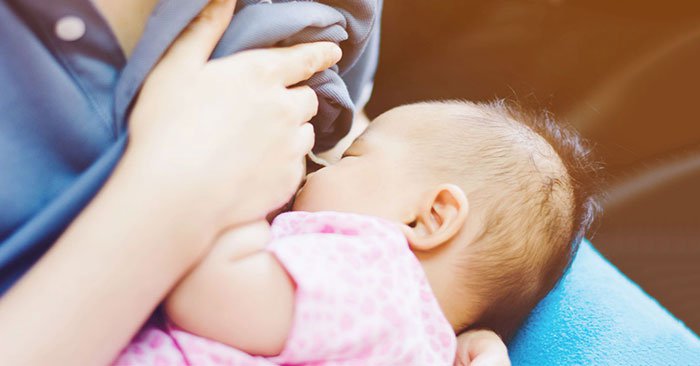 Khám phá những bài thuốc trị ít sữa, tắc sữa sau sinh Khám phá những bài thuốc trị ít sữa, tắc sữa sau sinh